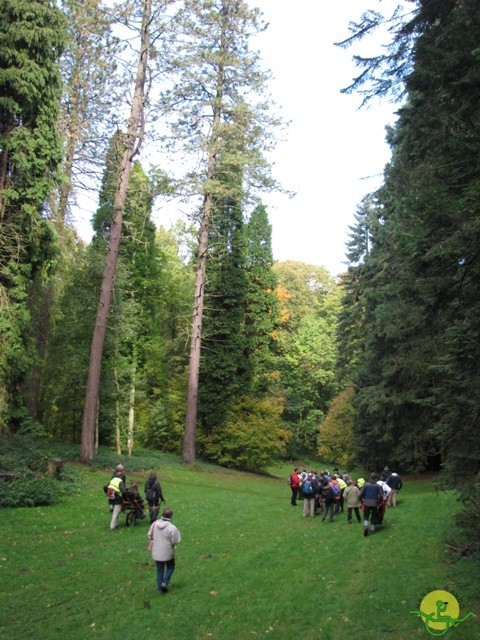 randonnée sportive avec joëlettes, Tervuren, 2012